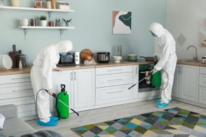 Conseils pratiques pour une désinfection régulière et efficace de votre maison
