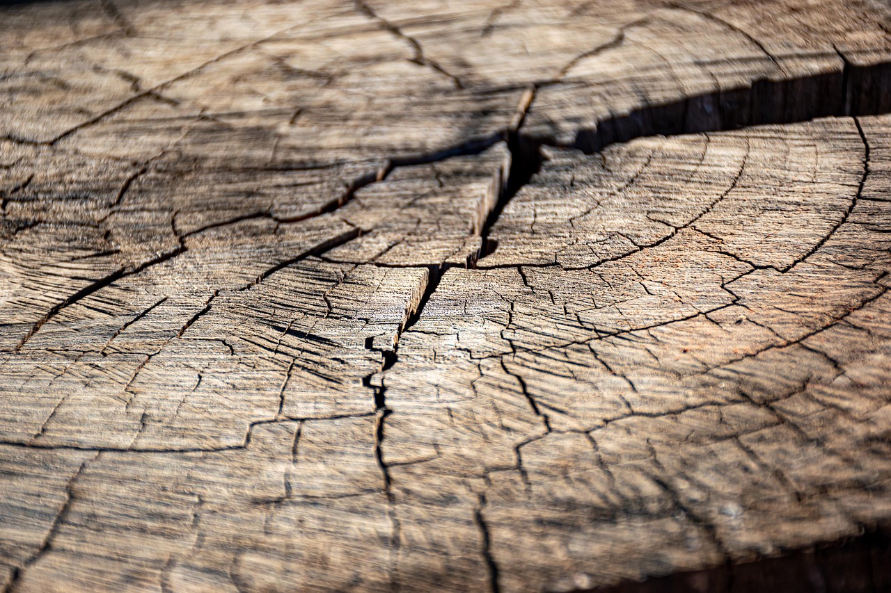 découvrez le bois de classe 4, idéal pour les applications extérieures grâce à sa haute résistance à l'humidité et à la pourriture.